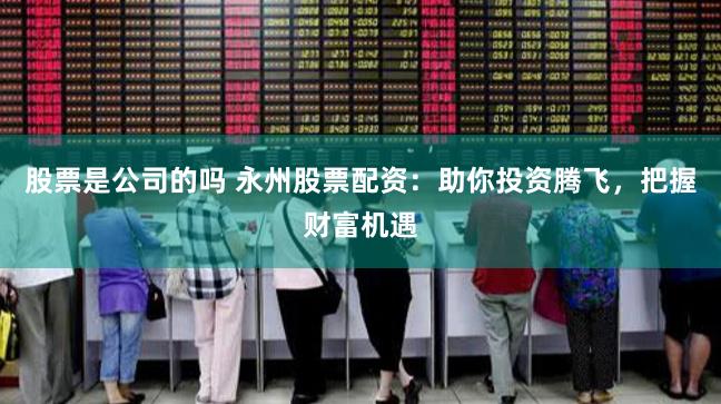 股票是公司的吗 永州股票配资：助你投资腾飞，把握财富机遇