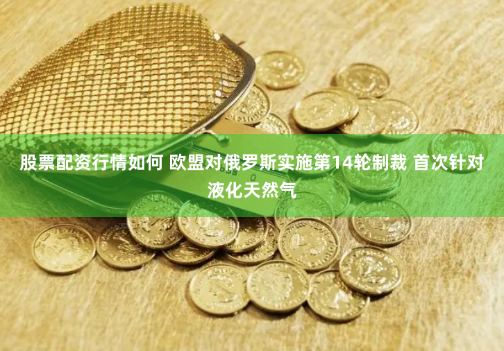 股票配资行情如何 欧盟对俄罗斯实施第14轮制裁 首次针对液化天然气