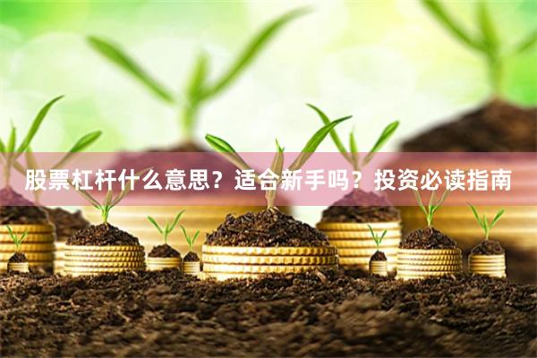 股票杠杆什么意思？适合新手吗？投资必读指南