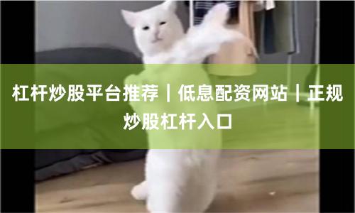 杠杆炒股平台推荐｜低息配资网站｜正规炒股杠杆入口