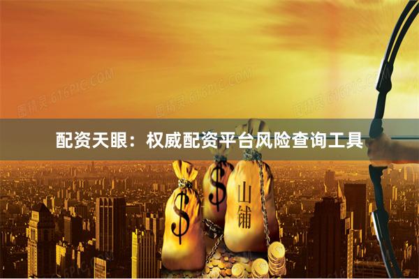 配资天眼：权威配资平台风险查询工具